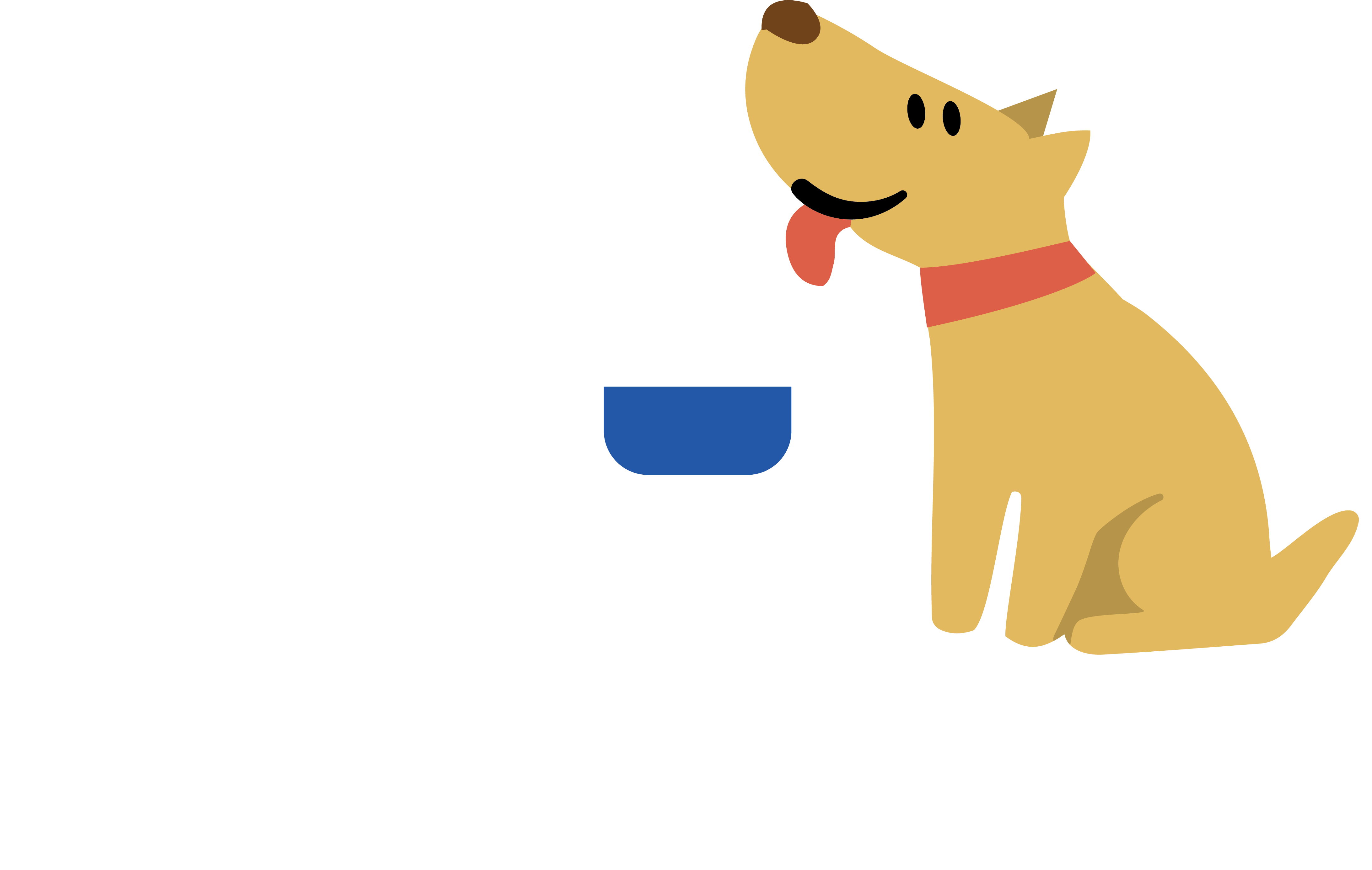 Тимерхан